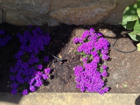 [Ohne Namen]