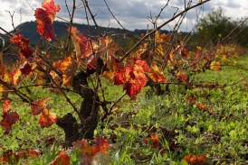 Priorat