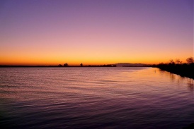 Ebrodelta by night