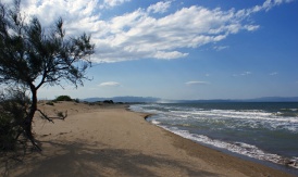 wilder Strand